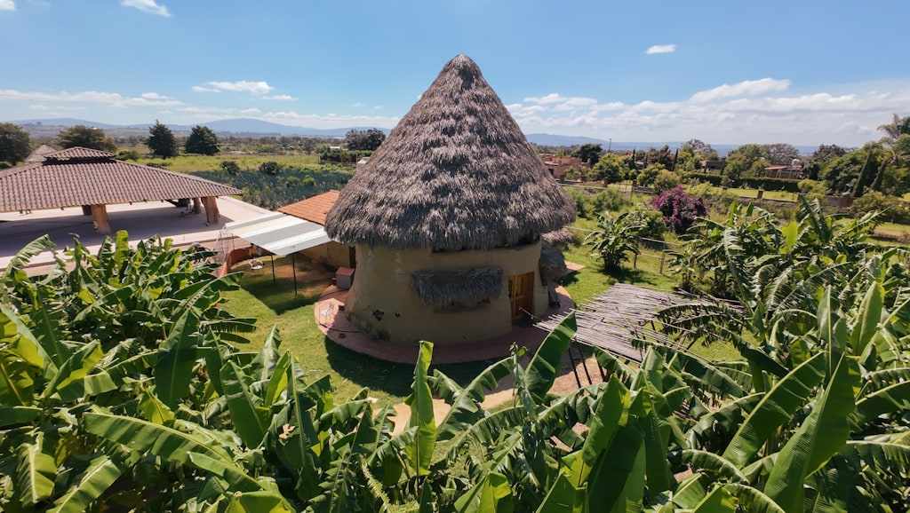 The Hormiguero, a cone-shaped palapa among banana trees