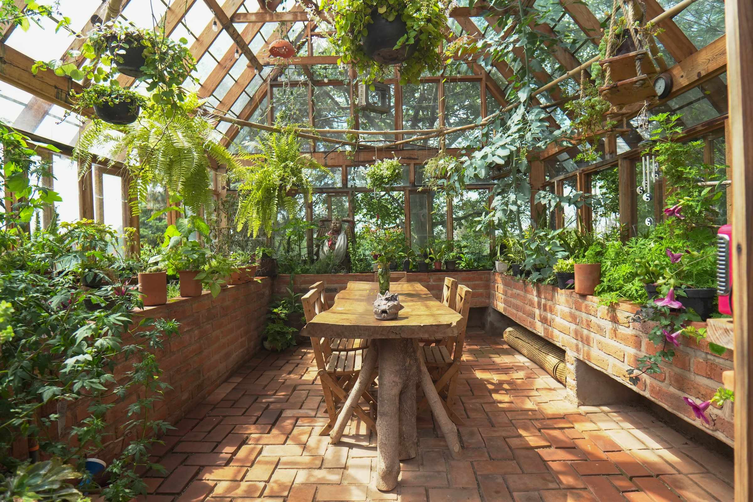 The Gaia greenhouse, a long wooden table among hanging plants